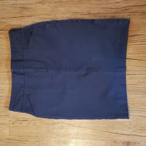 Banana Republic Skirt